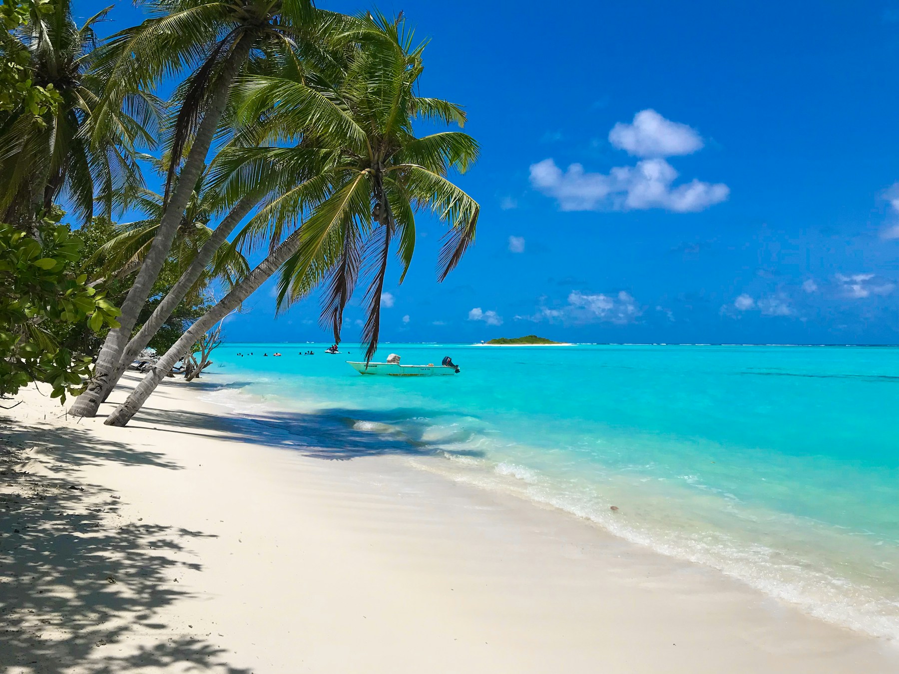 Palm trees over white sand and bright turquoise sea